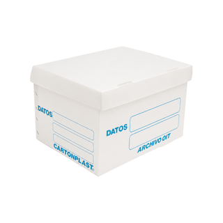 Caja para Archivo Plástico Tamaño Carta 38.5 x 31 x 25 cm con Tapa Separada Marca Cartonplast - 1 Pieza