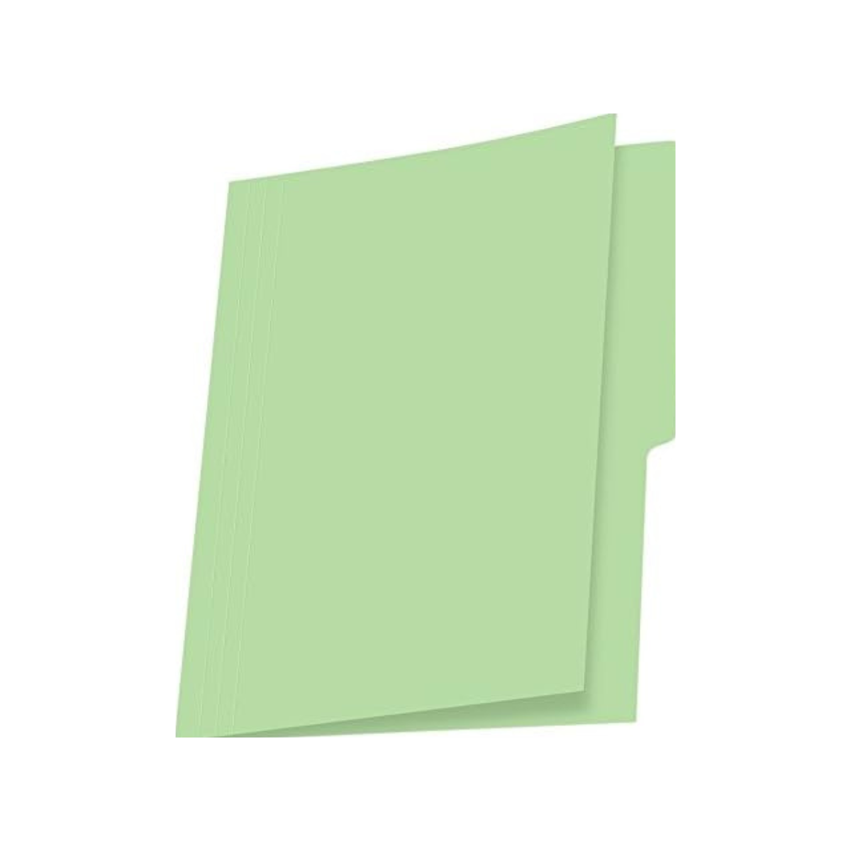 Folder Verde Folder Verde Menta Tamaño Carta Marca Nassa – Stock México